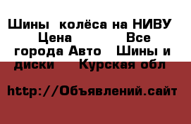 Шины, колёса на НИВУ › Цена ­ 8 000 - Все города Авто » Шины и диски   . Курская обл.